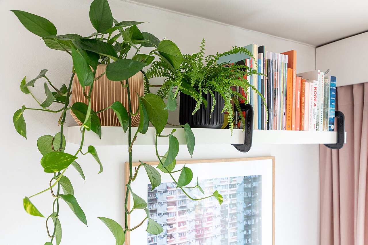 Designing and Printing Watertight Parts: Vases, Containers, and Plumbing Fittings
