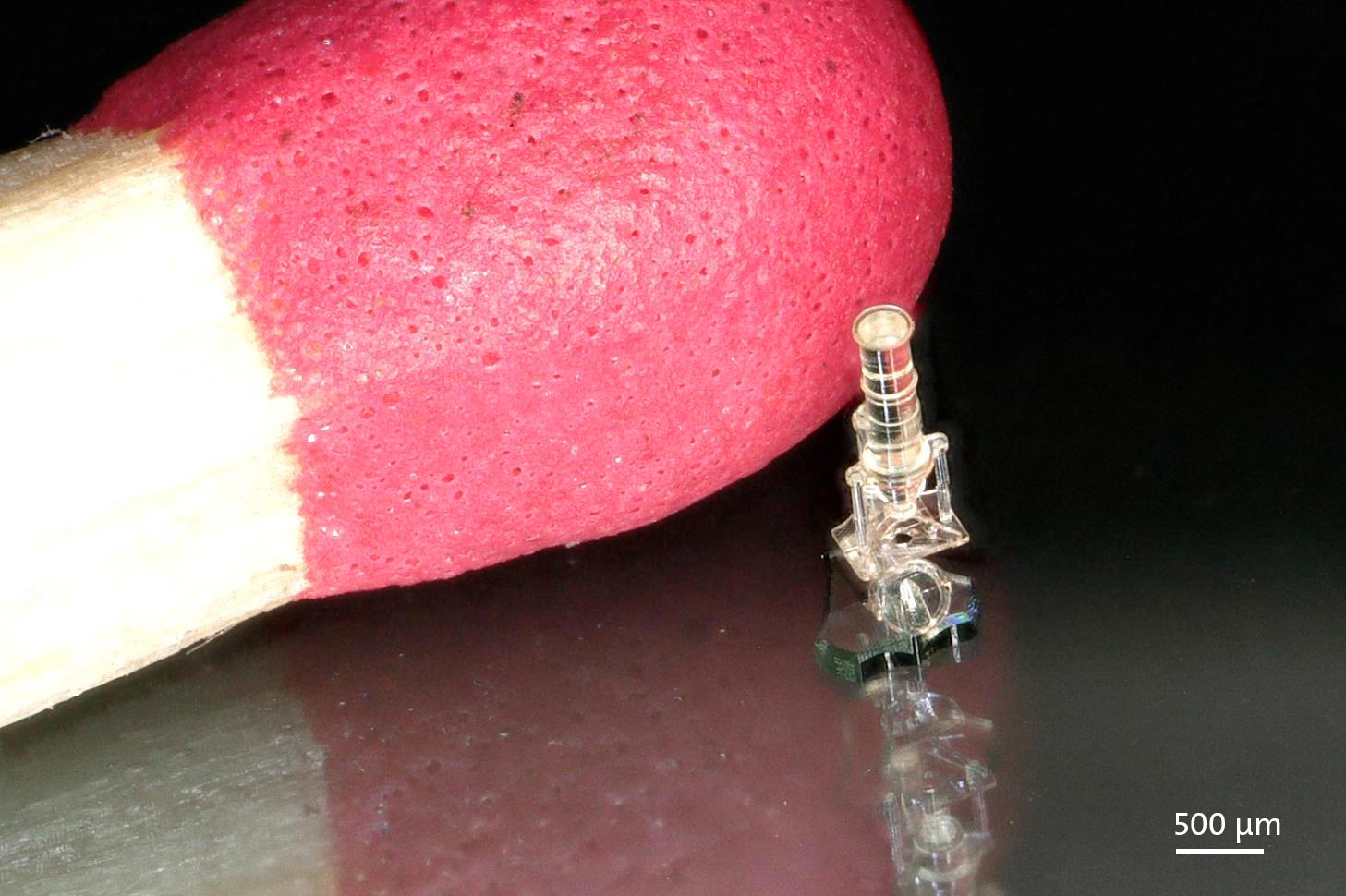 TU Wien Team Regrows Rabbit Cartilage With Two-Photon-Printed Microscaffolds